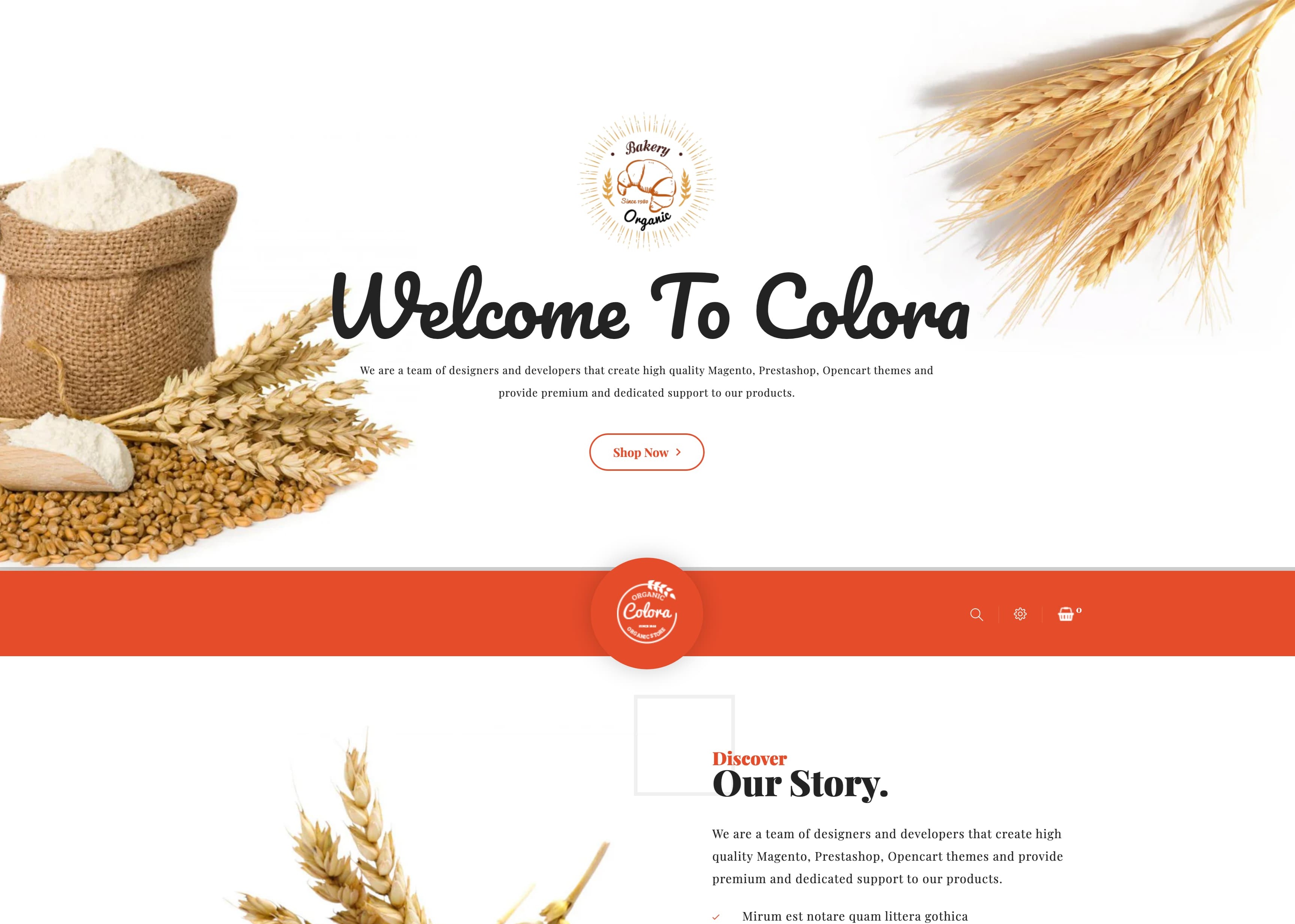 ProjetsEpicerie